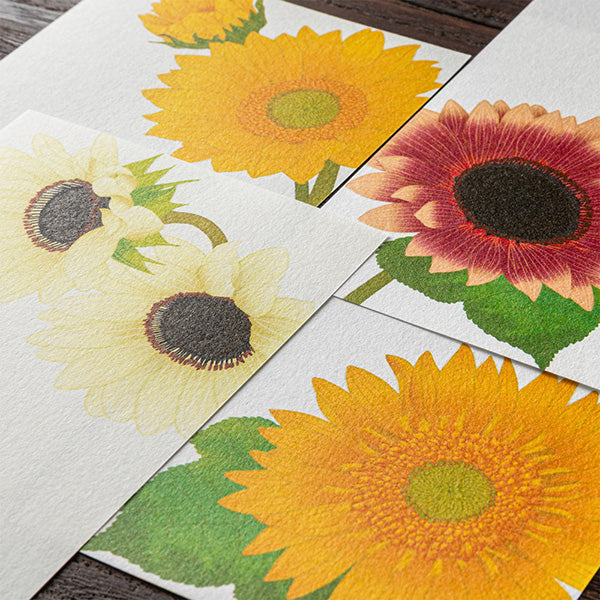 Midori Message Letterpad - Sunflower (Four Designs)