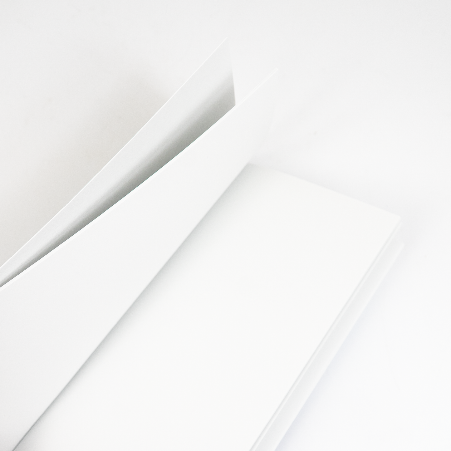 ameruu x CTFJ Standard TN Notebook - Bluebonnets (Houston Exclusive)