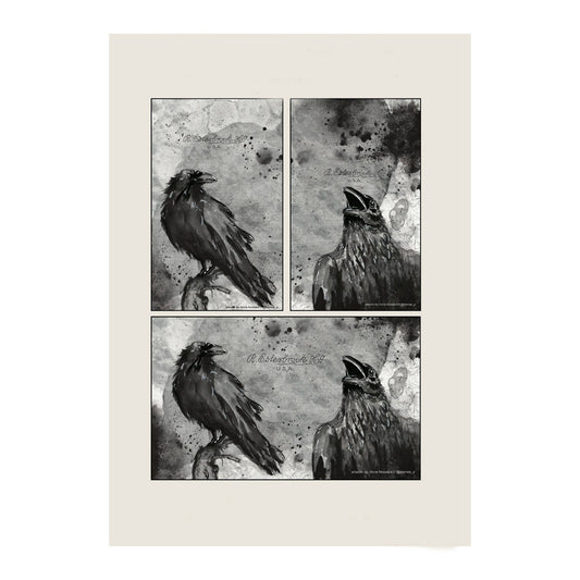 Esterbrook Blotter Paper - Black Raven