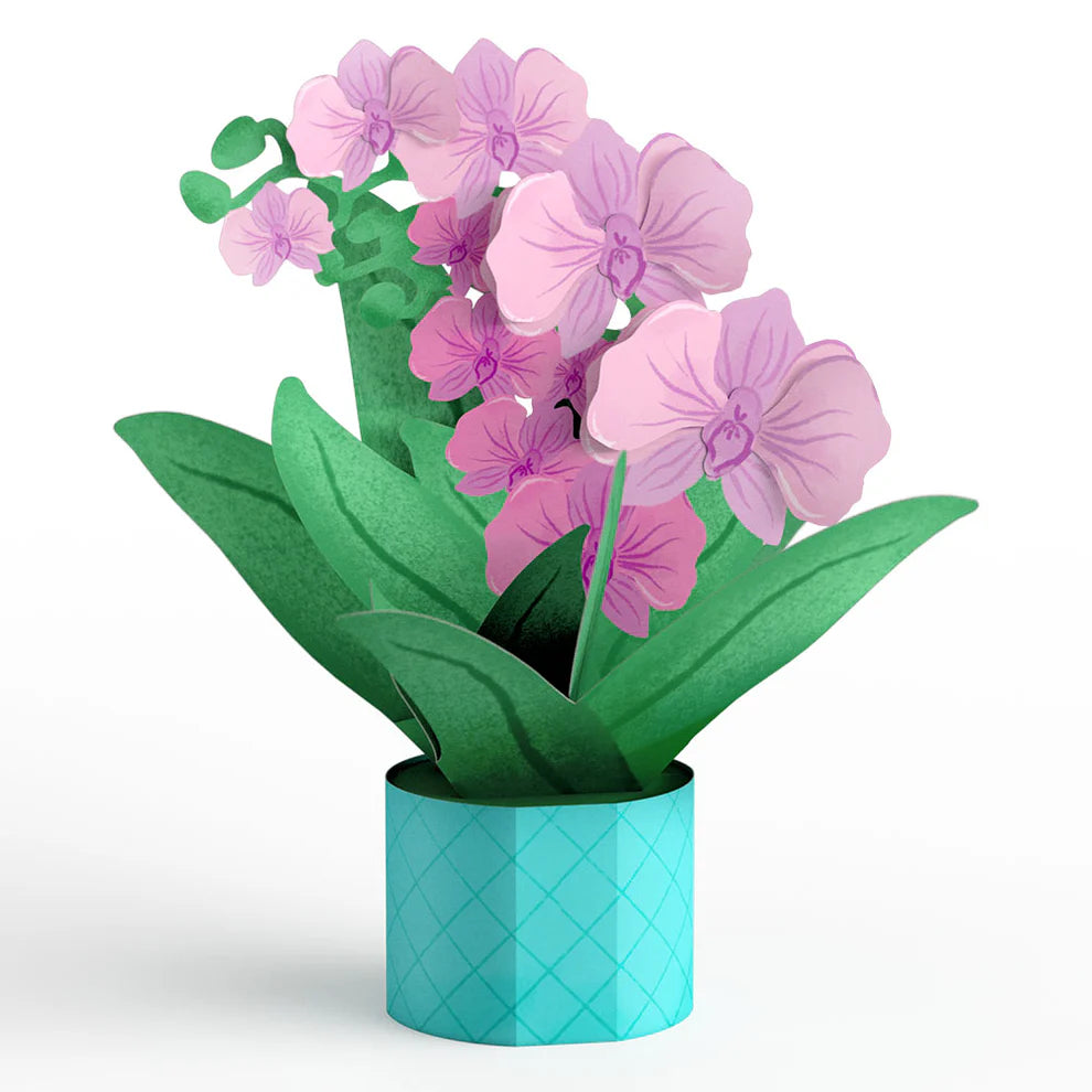 Lovepop Pop-Up Mini Bouquets - Proud To Be Y’Orchid Mother’S Day