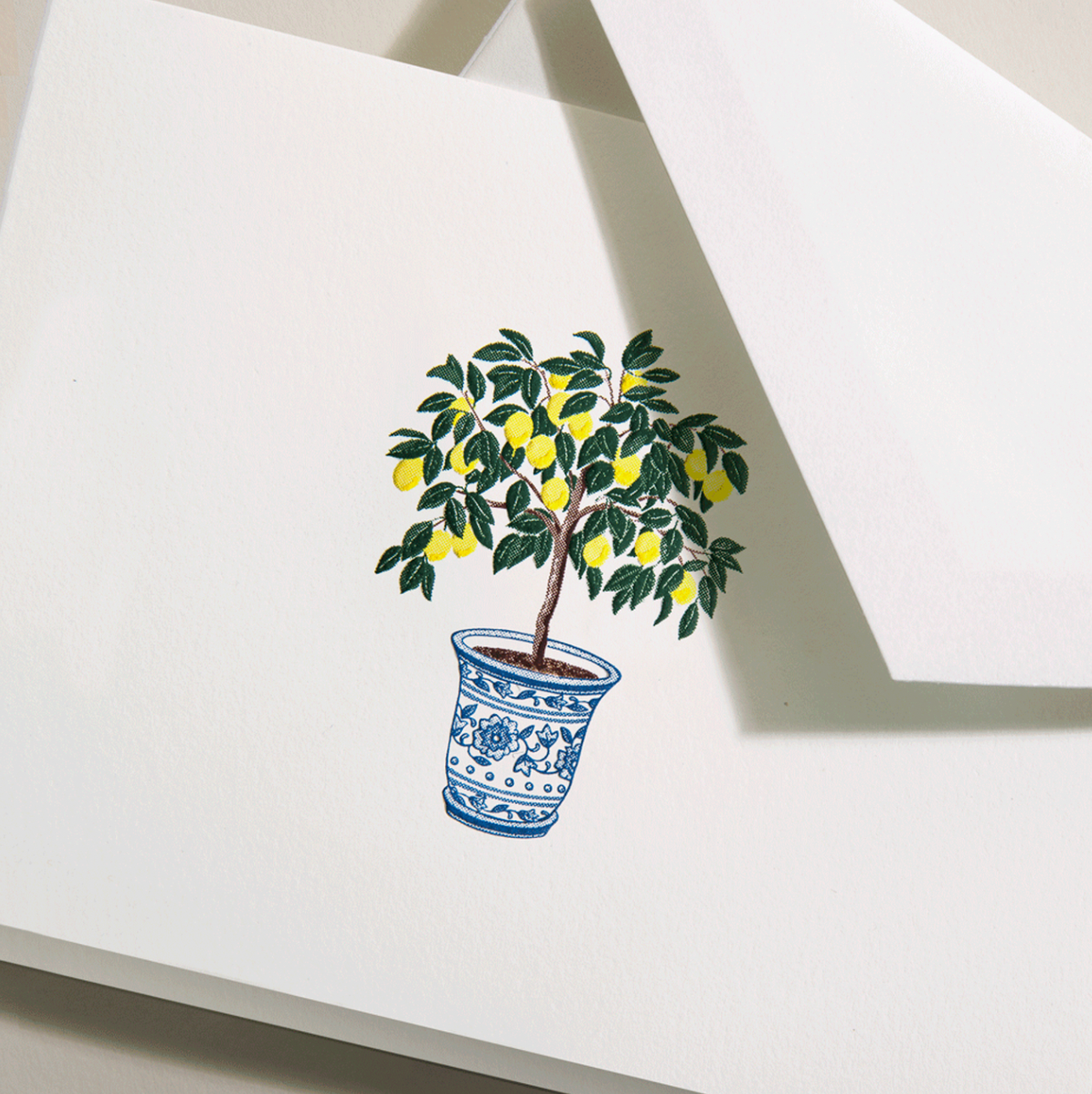 Crane Potted Lemon Tree Note (10 ea)