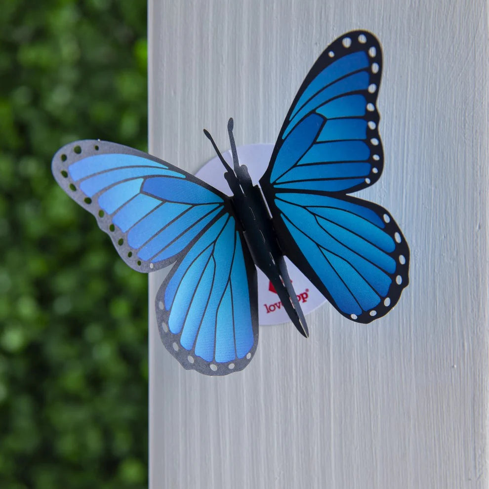 Lovepop Stickerpop™ - Blue Morpho (1-Pack)
