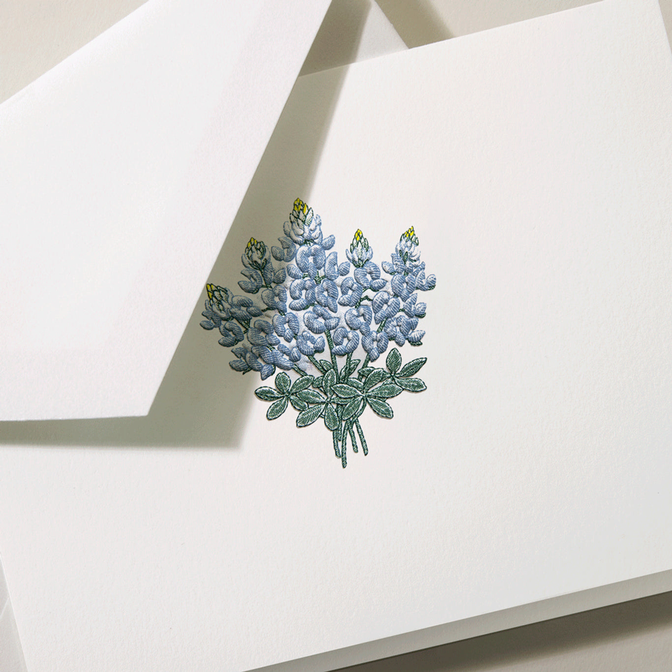 Crane Bluebonnets Note (10 ea)