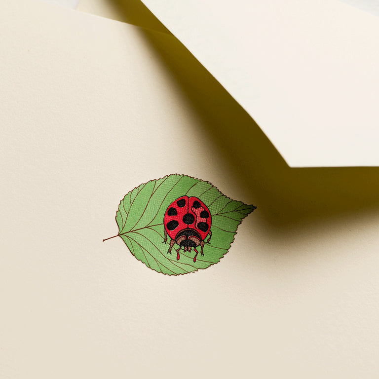 Crane Ladybug on Leaf Note (10 ea)