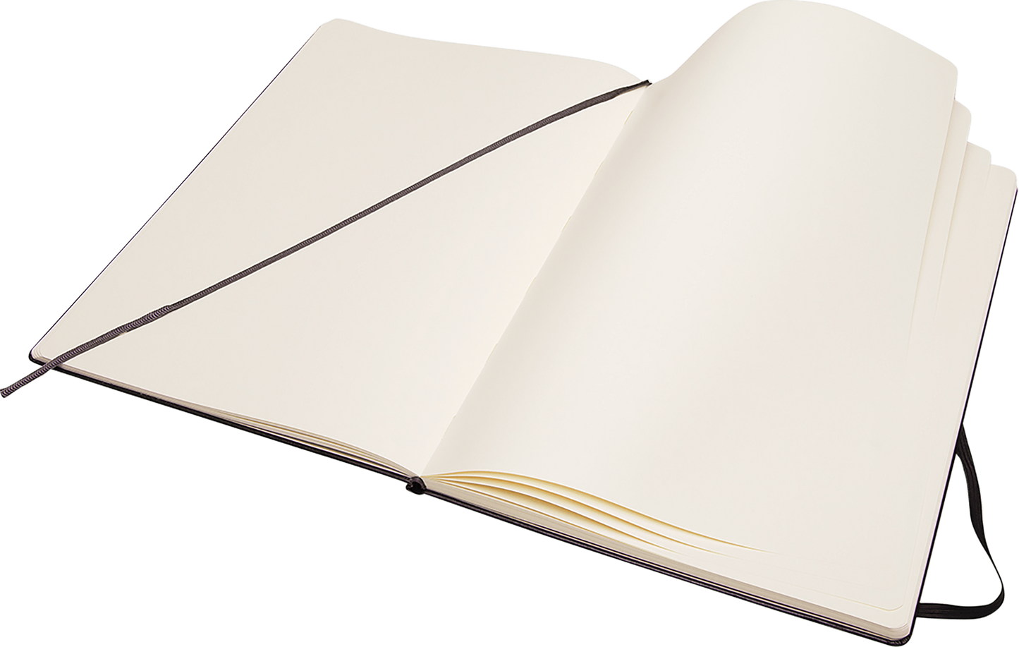 Moleskine A4 Hardcover Art Collection Sketchbook - Black