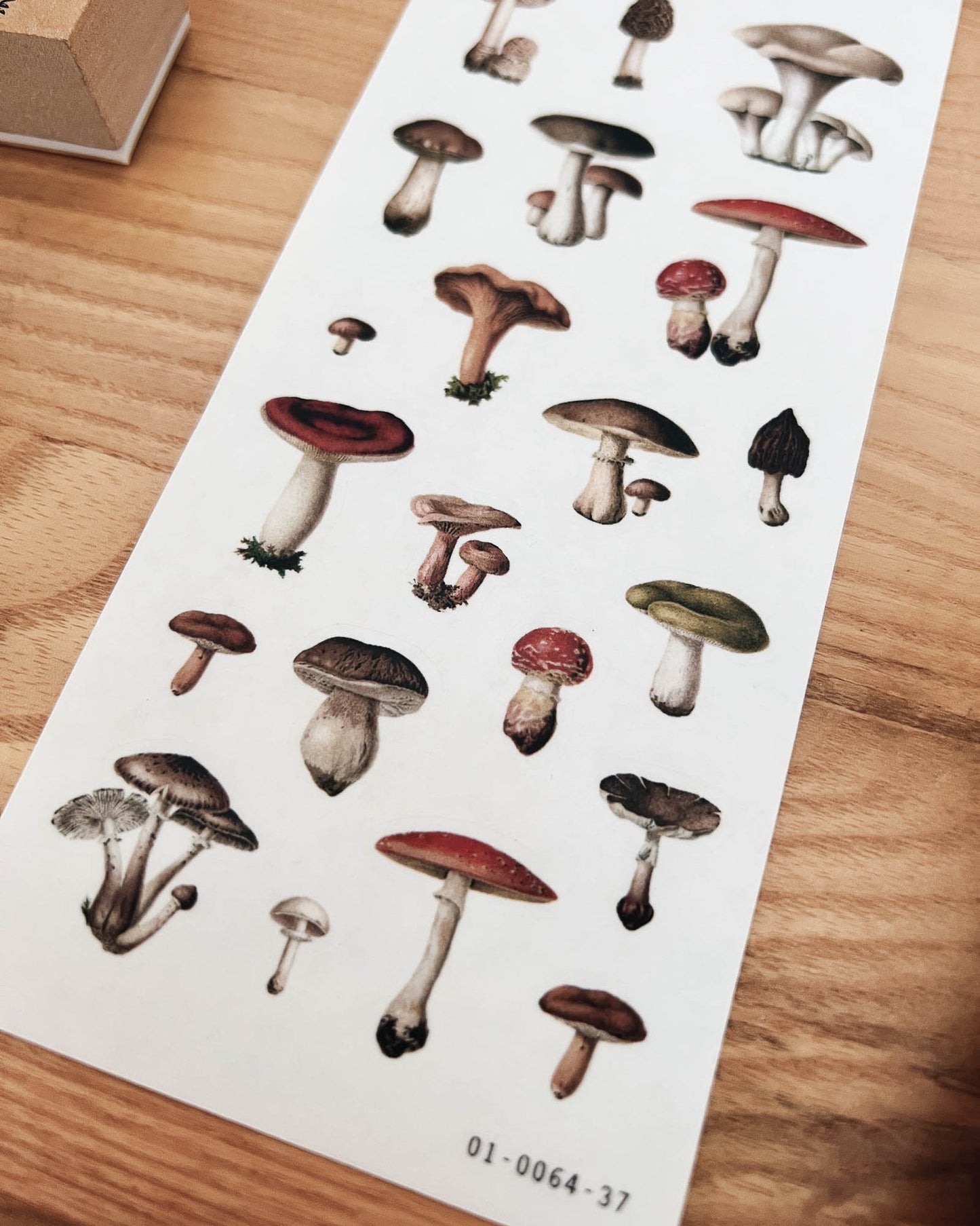 Sarica Studio Stickers - Vintage Mushrooms