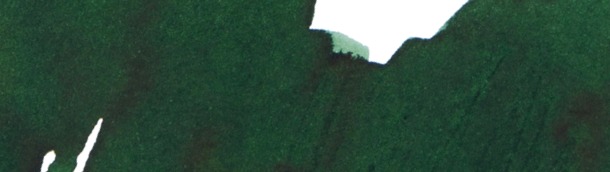 Wearingeul Beneath the Wheel (30ml) Bottled Ink (Monthly World Literature)