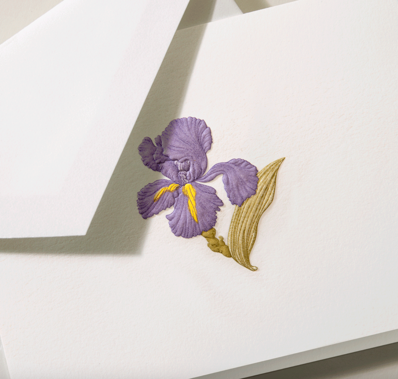 Crane Iris Note (10 ea)