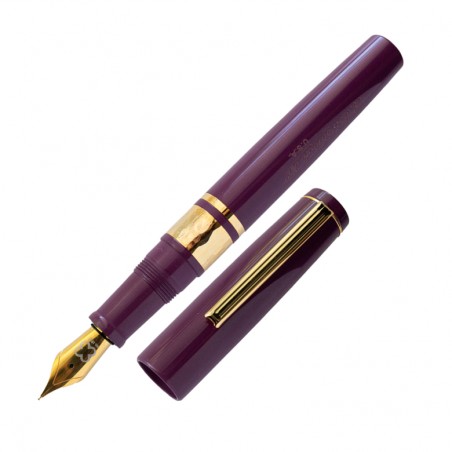 Esterbrook Model J Collection