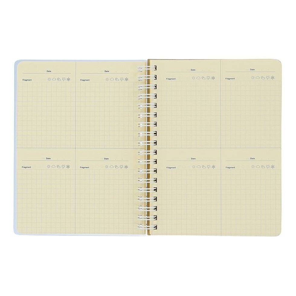 Delfonics Rollbahn CLEAR Spiral L Free Diary - Pink