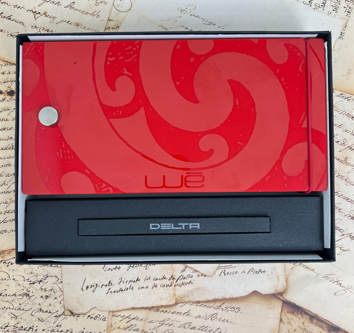 Pre-Owned Delta WE Diciassette Fountain Pen 14K M