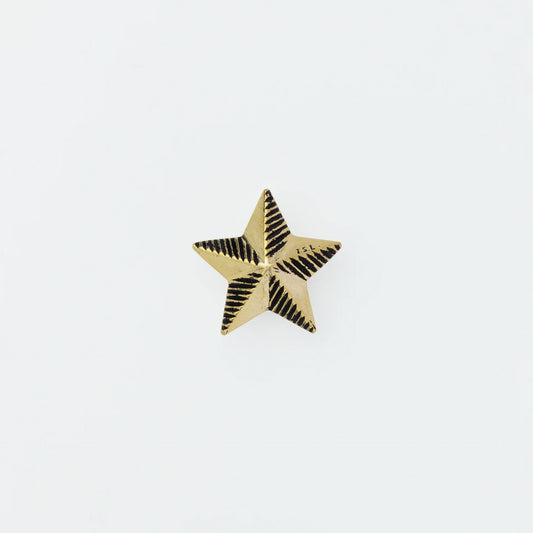 The Superior Labor Brass Star Pin - B