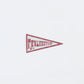 The Superior Labor TSL Patch Flag - Light Blue