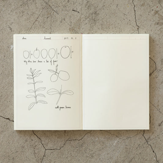 Midori MD A5 Notebook - Frame