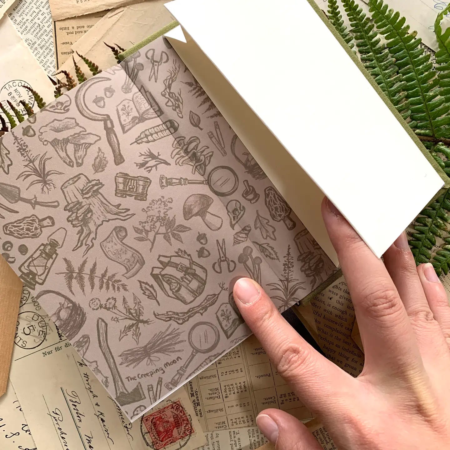 The Creeping Moon A6 Foraging Field Journal - Green