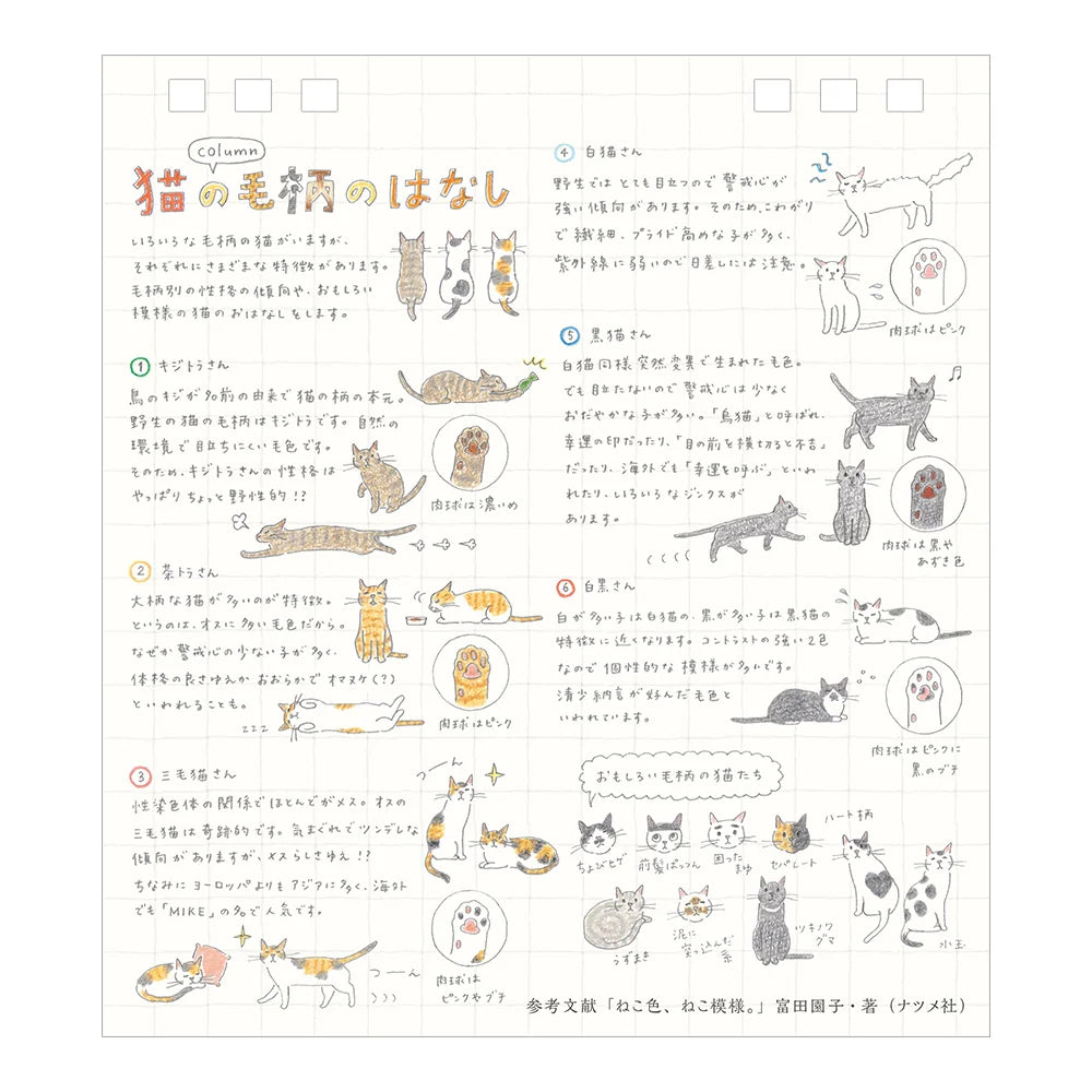 Midori 2027 Ring Stand Monthly Calendar - S Cat