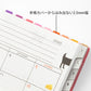 Midori Chiratto Index Label - Colors