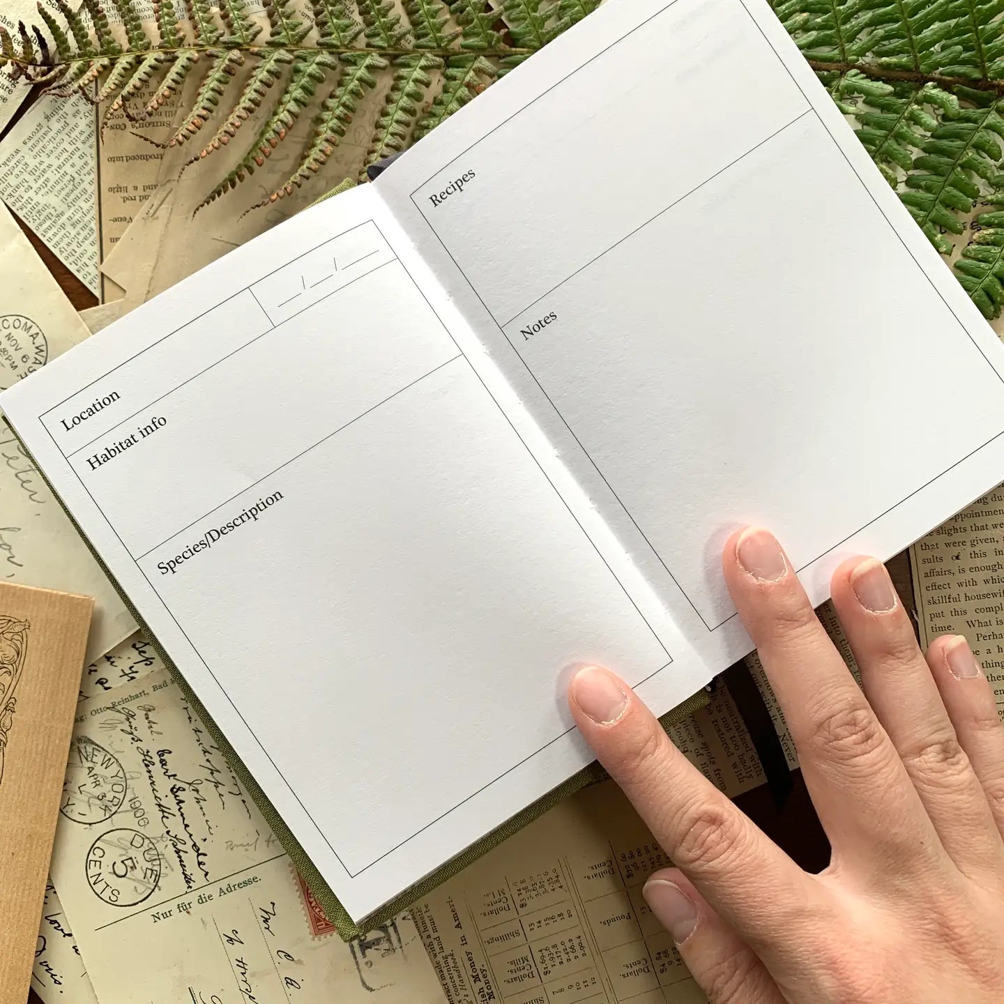 The Creeping Moon A6 Foraging Field Journal - Green