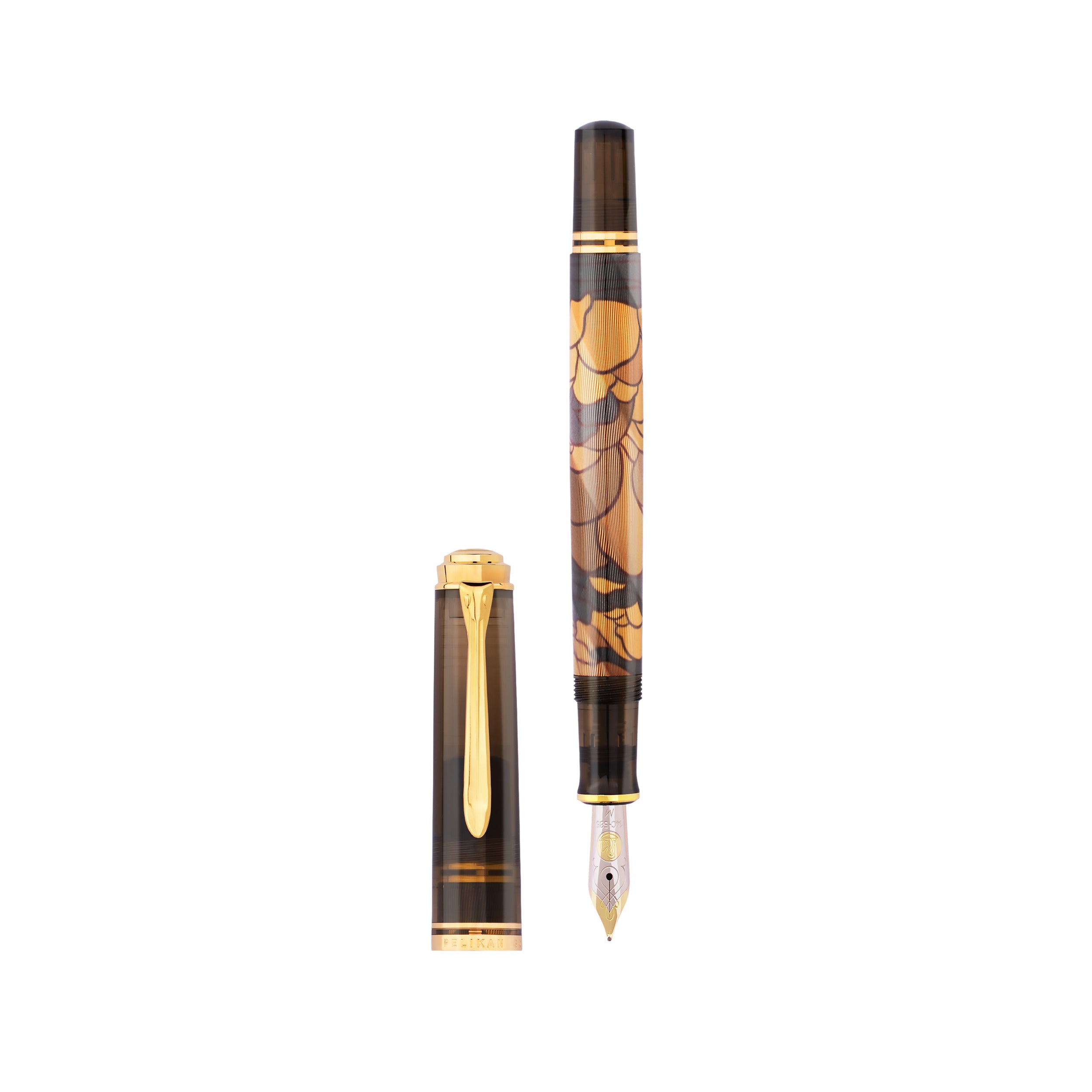 Pelikan Souverän M600 Series Art Collection II Fountain Pen