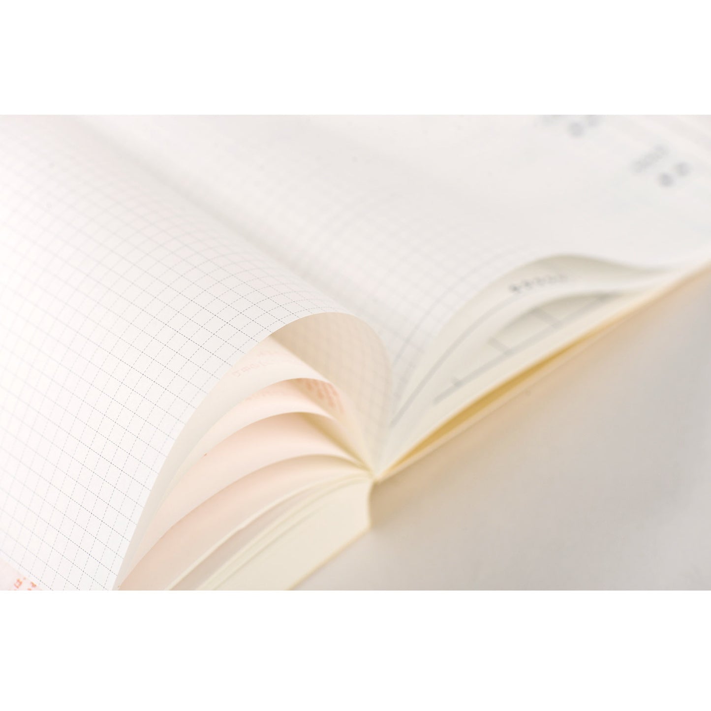 Hobonichi 2025 A5 Cousin Day-Free - Japanese