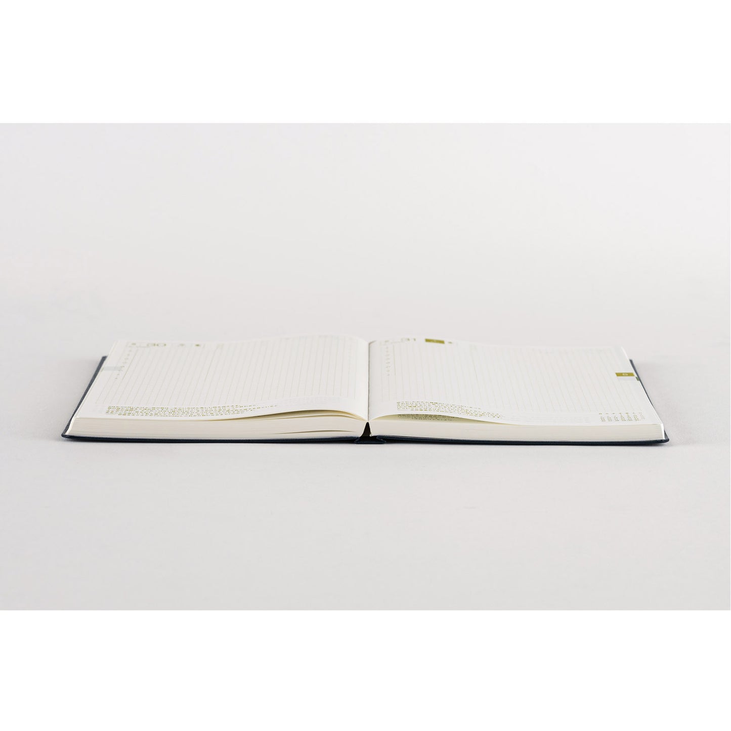 Hobonichi HON 2025 A5 Techo Hardcover Book - Bow & Tie: Snake Toy