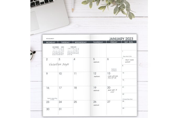 AT-A-GLANCE 2025 Monthly Planner Refill for 70-064, Pocket (3 1/2" x 6")