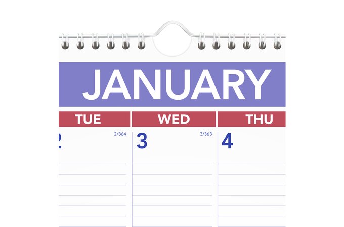 AT-A-GLANCE 2025 Dated Wall Calendar - 15" x 22"