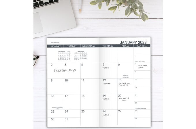 AT-A-GLANCE 2025 Monthly Planner Refill for 70-064, Pocket (3 1/2" x 6")