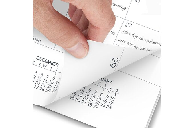 AT-A-GLANCE 2025 Monthly Planner Refill for 70-064, Pocket (3 1/2" x 6")