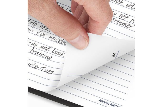 AT-A-GLANCE 2025 DayMinder Executive Weekly Monthly Refill for G545 (7" x 8 3/4")