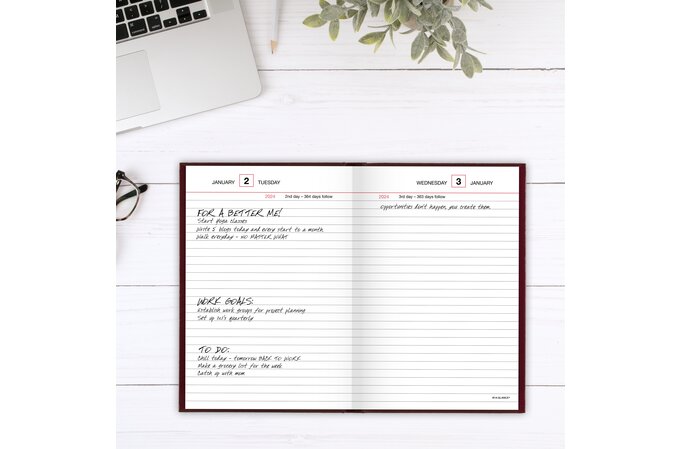 AT-A-GLANCE Standard Diary 2025 Daily Reminder (5 1/2" x 8") - Red
