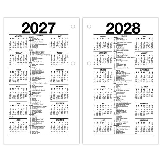 At-A-Glance 2026 Daily Loose-Leaf Desk Calendar Refill (6" x 4")