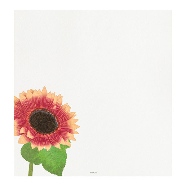Midori Letterpad - Sunflower (Four Designs)