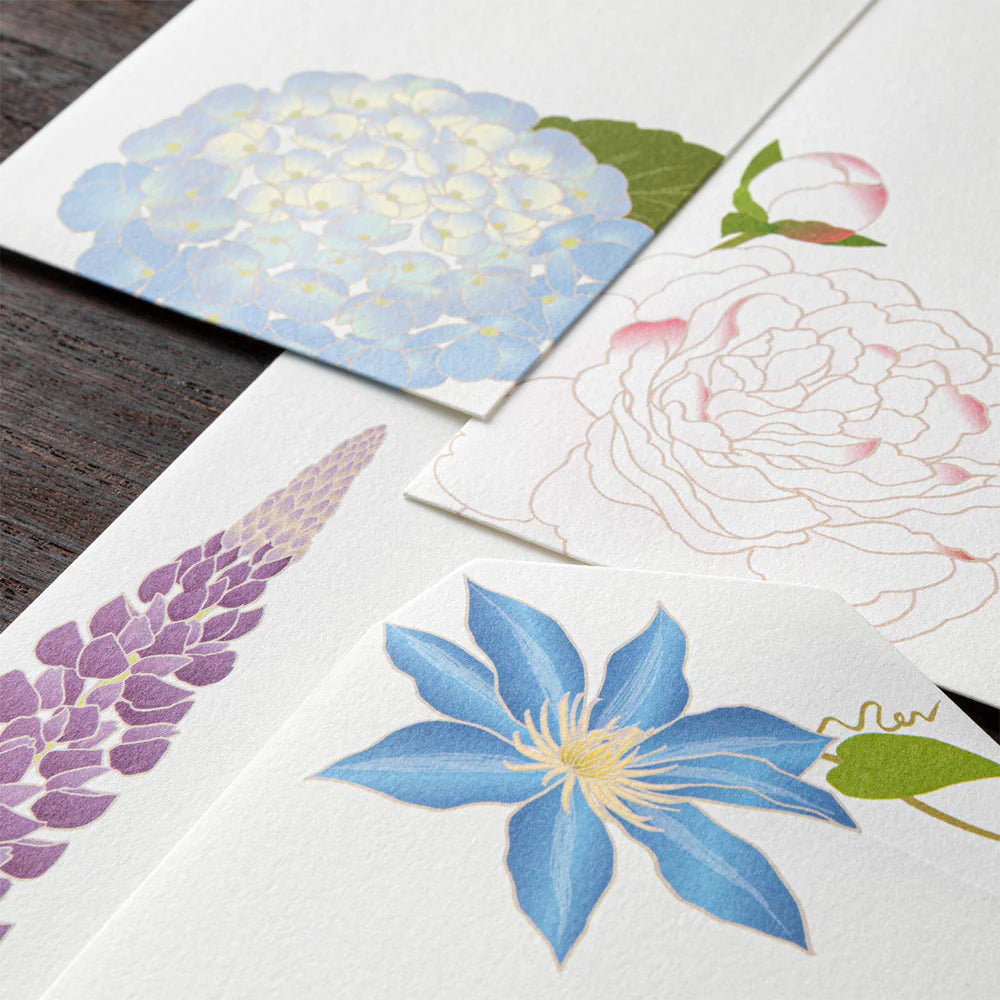 Midori Envelope - Summer Flowers (Four Designs)