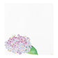 Midori Four Designs Letterpad - Hydrangea