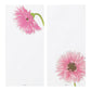 Midori Message Letterpad - Gerbera (Silk Printing)