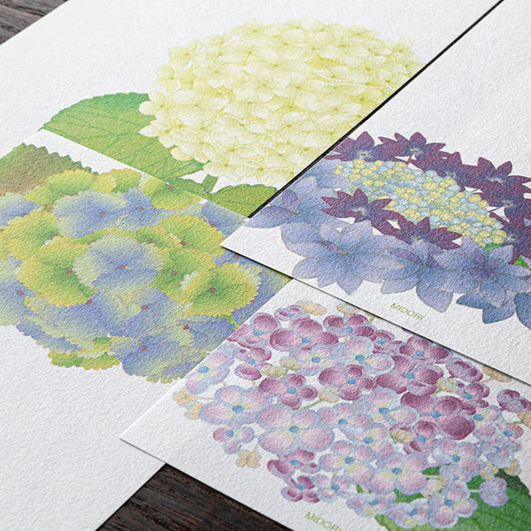 Midori Four Designs Message Letterpad - Hydrangea