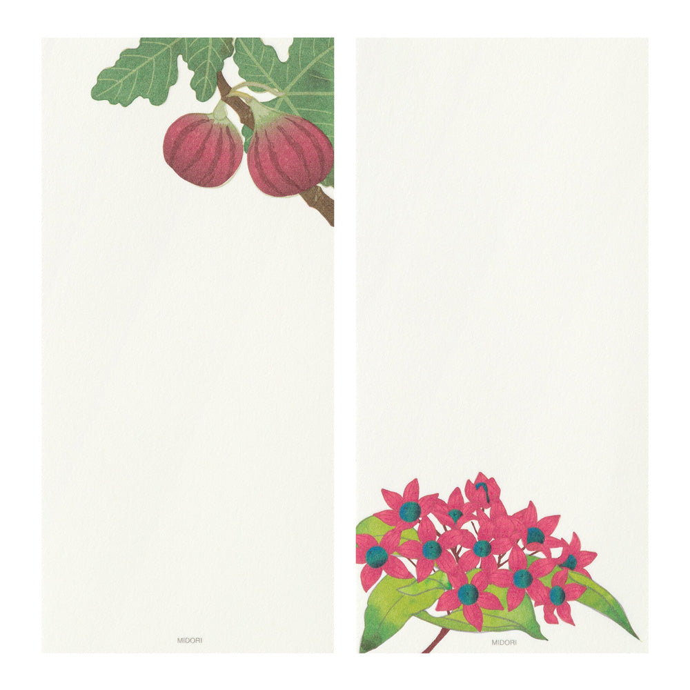Midori Message Letterpad - Autumn Fruits (Four Designs)