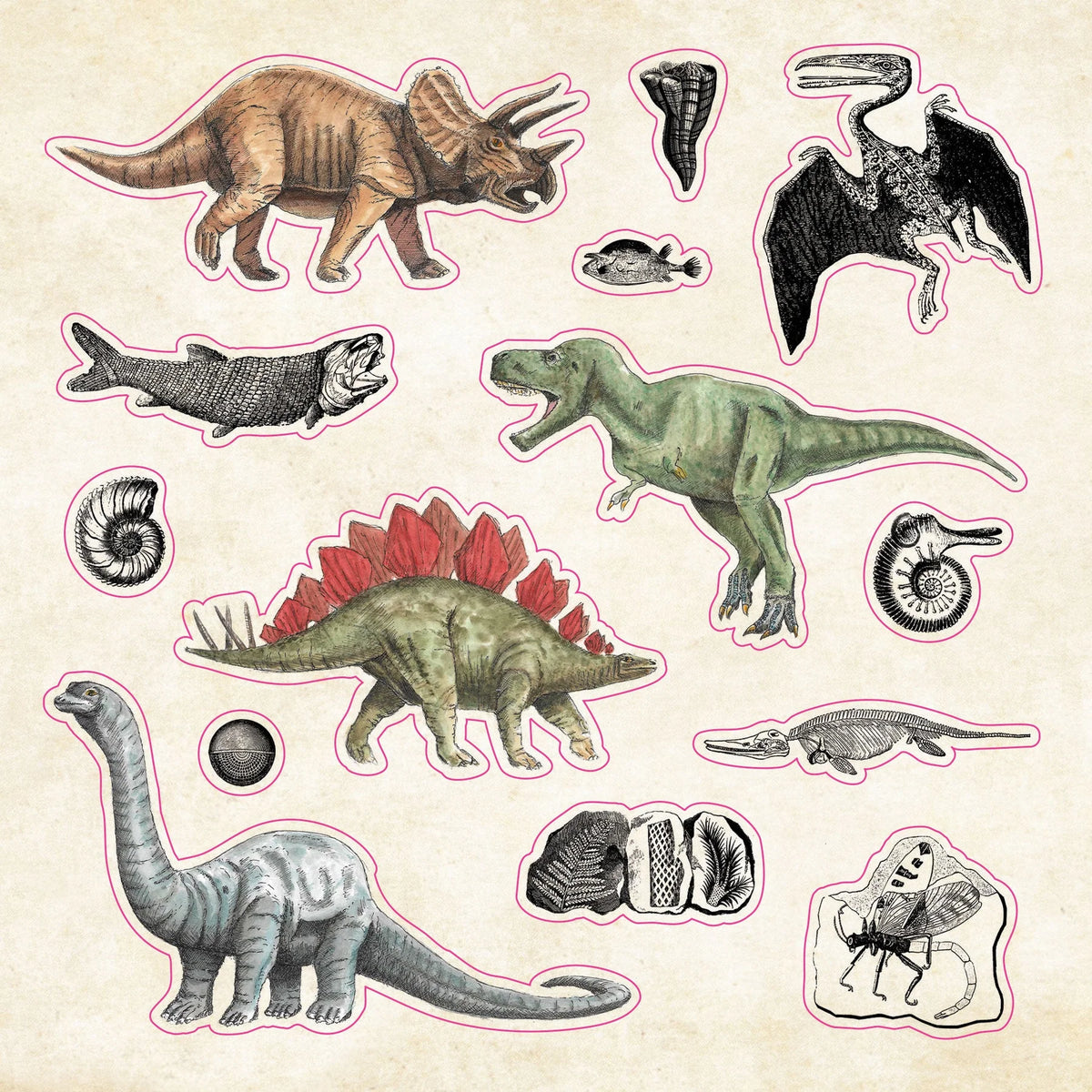 Curios Sticker Curiosities Sticker Book – Dromgoole's Fine Writing Instruments