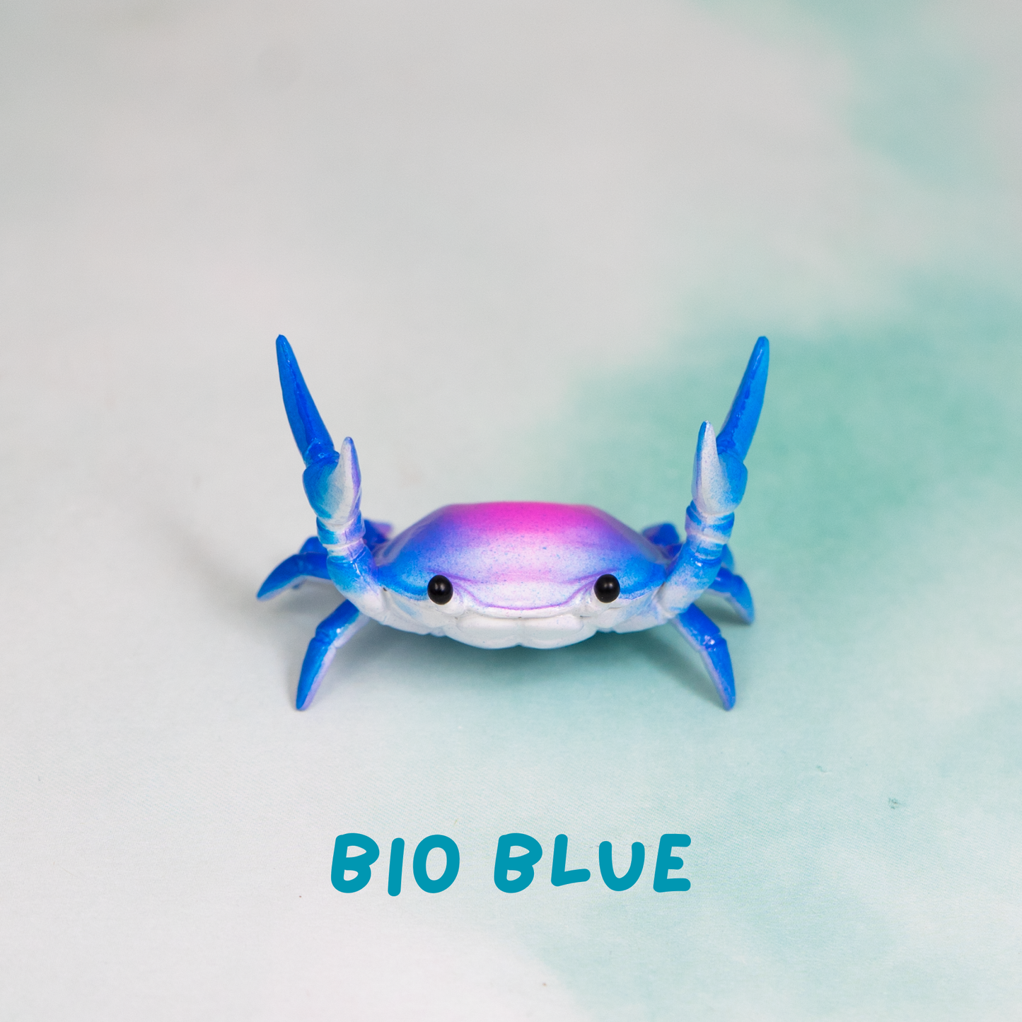 Ahnitol Crab Pen Holders