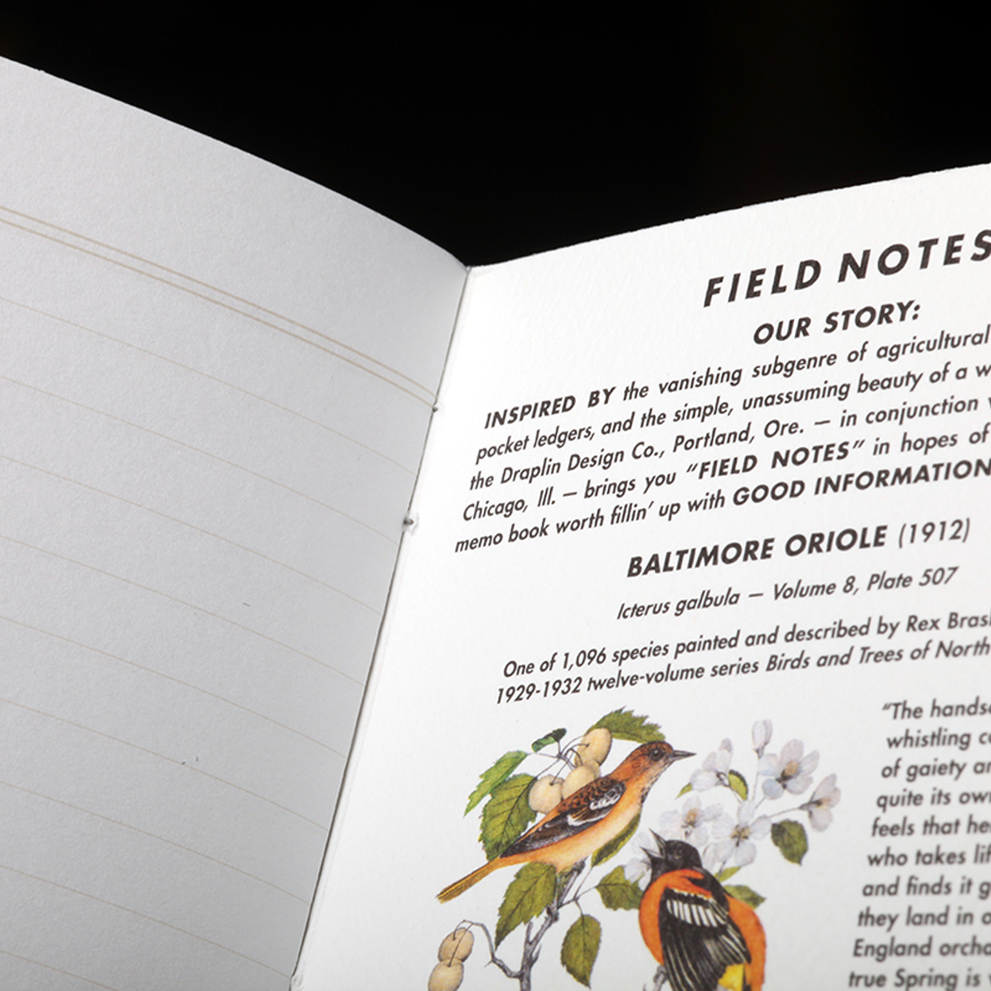 Field Notes Quarterly Edition Notebook - Birds and Trees of North America Series C: Redstart, Cardinal, Redshoulder Hawk (3-Pack)