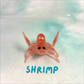 Ahnitol Crab Pen Holders