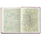 Graphic Image 2024 Desk Diary - Stone Crocodile Embossed Leather