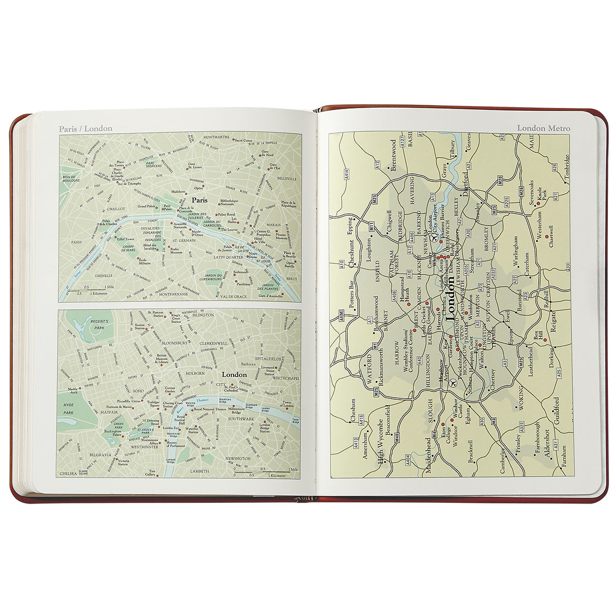 Graphic Image 2024 Desk Diary - Stone Crocodile Embossed Leather
