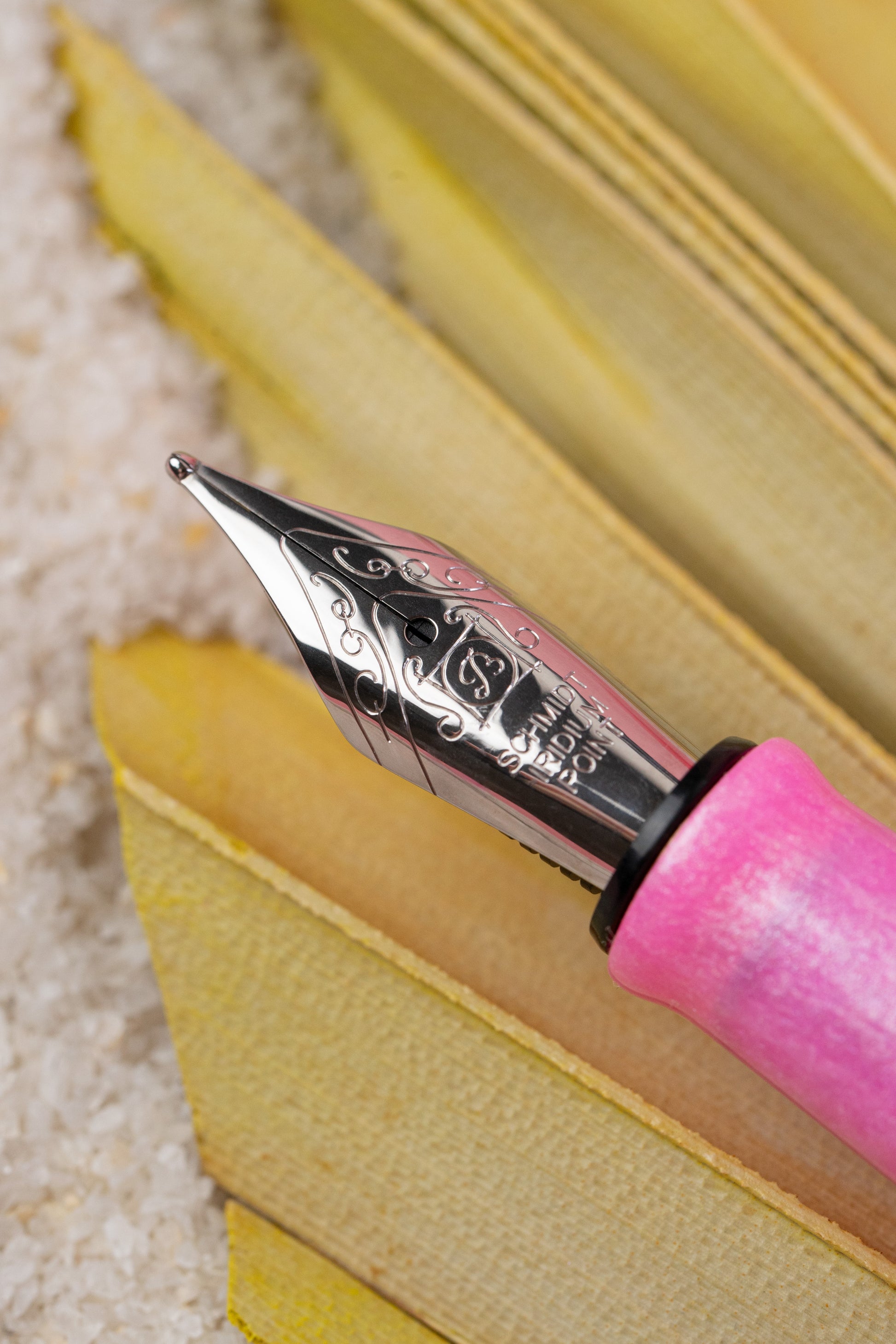 BENU Euphoria Fountain Pen - Tropical Blush (Limited Edition)