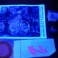 Noodler's Valentine Texas Bottled Ink - Dromgoole's Exclusive