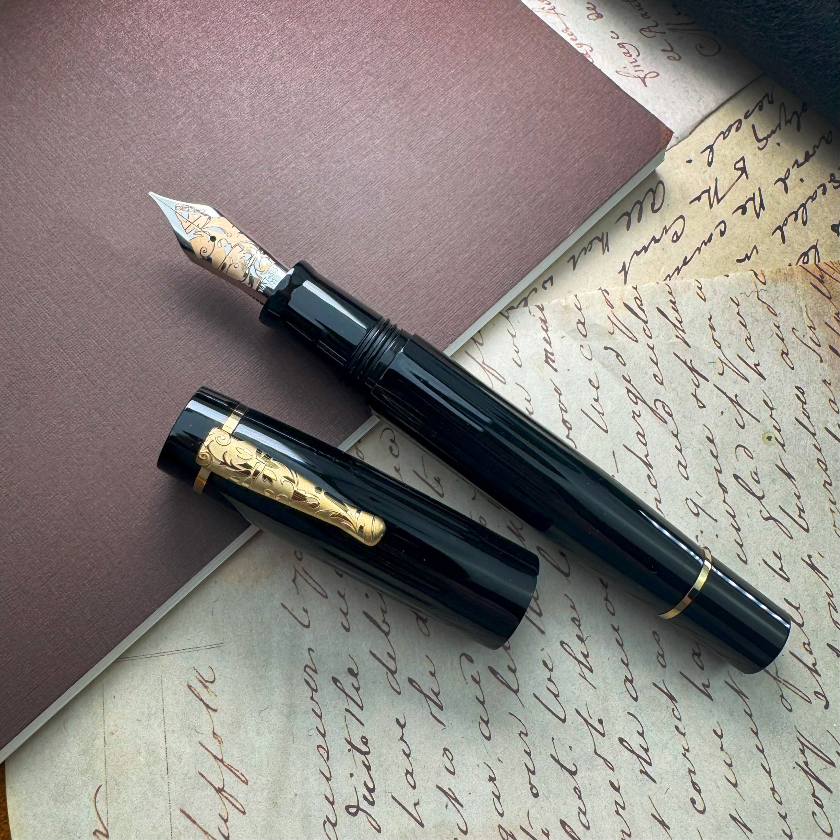 Delta Bio+16 Fountain Pen - Nera (14Kt Gold - #6 Nib