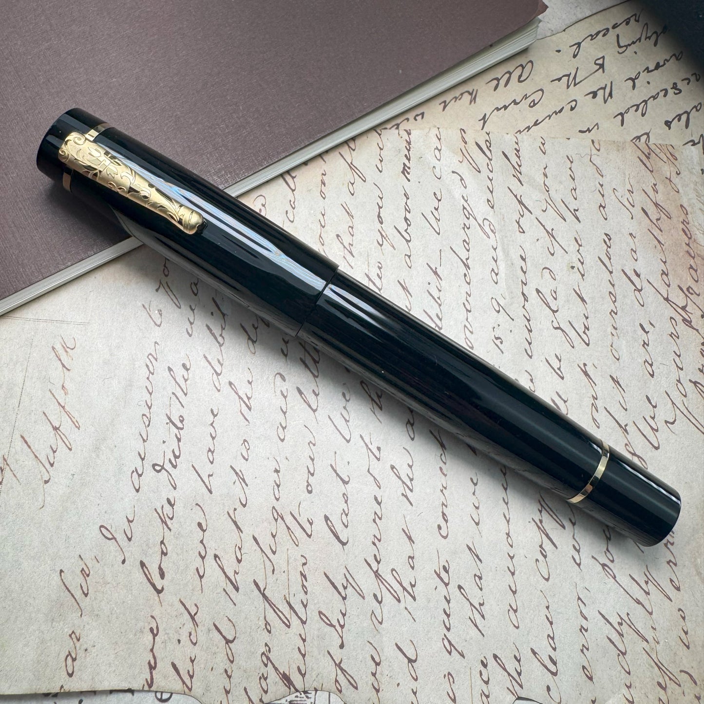 Delta Bio+16 Fountain Pen - Nera (14Kt Gold - #6 Nib)