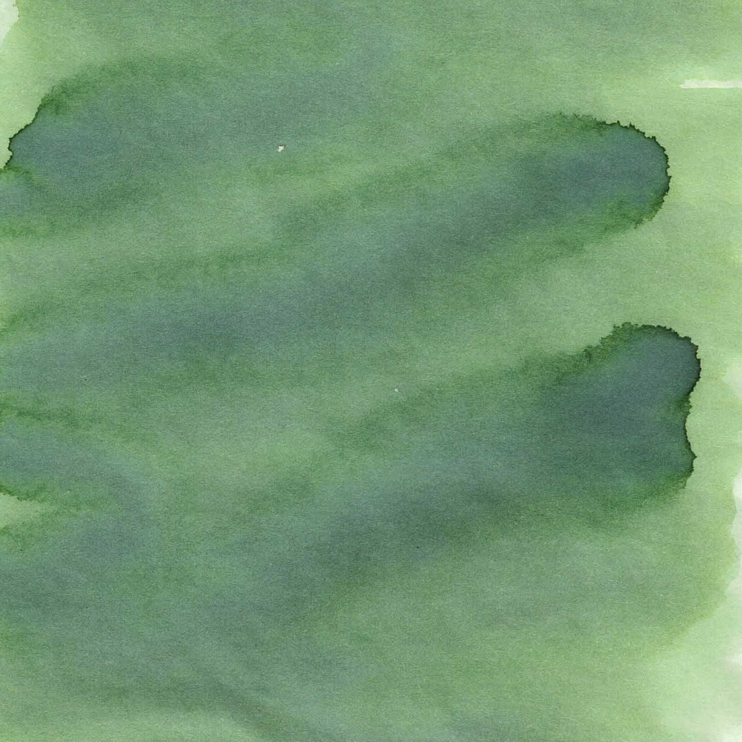 Switchman Pen Company Bottled Ink (35ml) - Gateway of Liberty: Patina Green