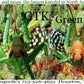 Noodler's Giant Texas Katydid (GTK) Bottled Ink - Dromgoole's Exclusive